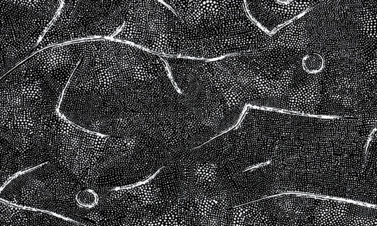 Ladies UNDERWEAR Brief - Crack Up