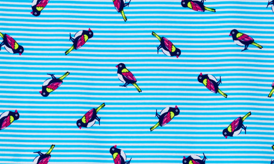 Ladies UNDERWEAR Brief - Tweety Tweet