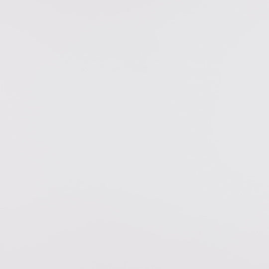 Ladies UNDERWEAR Brief - Sitting Duck