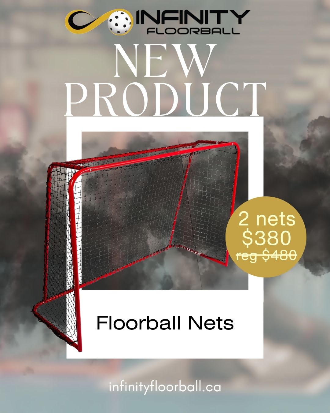Floorball Goal - Match Size  115x160