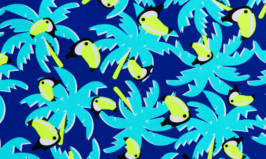 Ladies UNDERWEAR Brief - Bird Brain