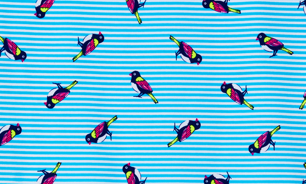 Hipster Brief - Tweety Tweet