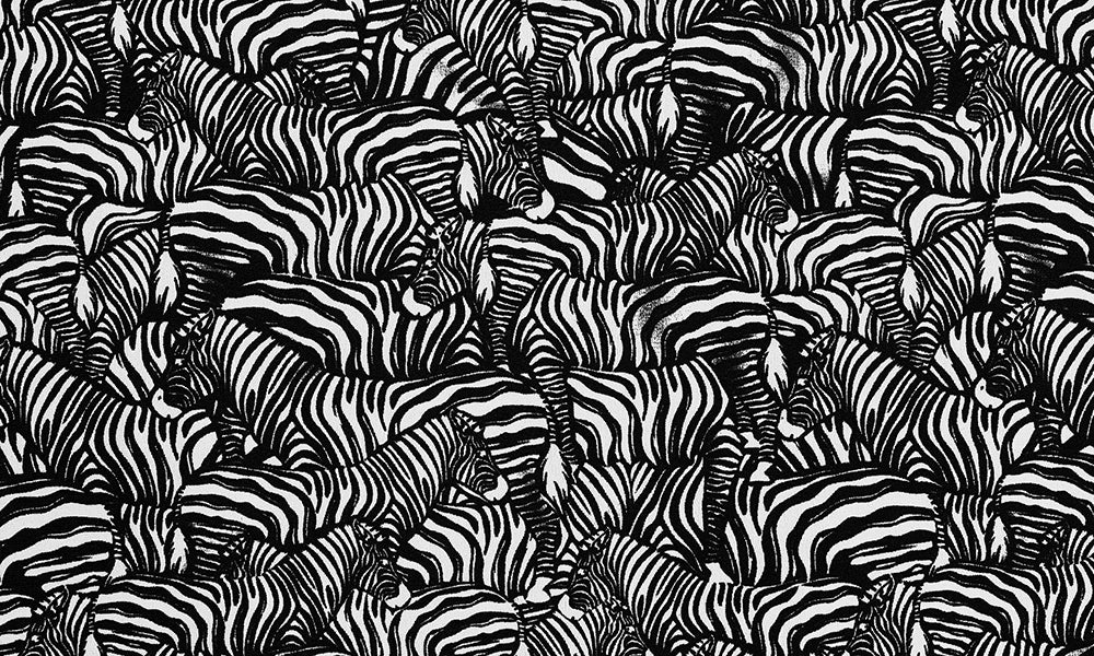 Single Strap One Piece- Zebra Crossing (ECO)